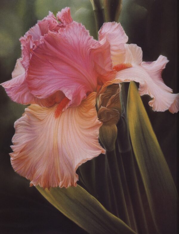 Best of Flower Painting Rachel R. Wolf - SAIBA MAIS AQUI! - Imagem 9