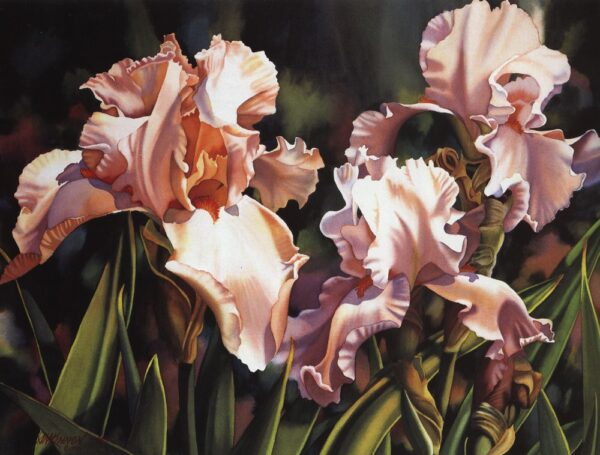 Best of Flower Painting Rachel R. Wolf - SAIBA MAIS AQUI! - Imagem 10