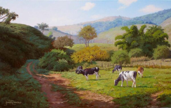 Pop Cards - Paisagens Brasileiras - Imagem 3